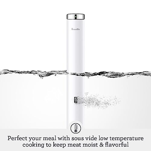 Joule Sous Vide Stainless Steel Vs Polycarbonate