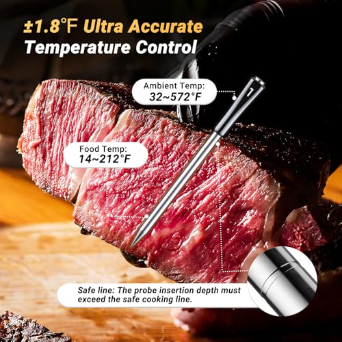 Inkbird Meat Thermometer Review
