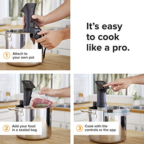 Anova Vs Inkbird Sous Vide