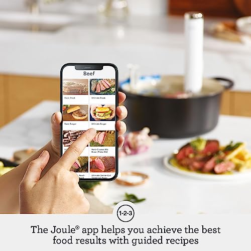Breville Joule Turbo Sous Vide Review