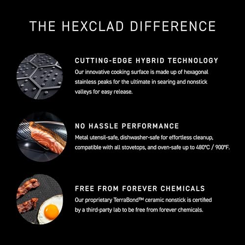 HexClad 5 Qt Dutch Oven Review